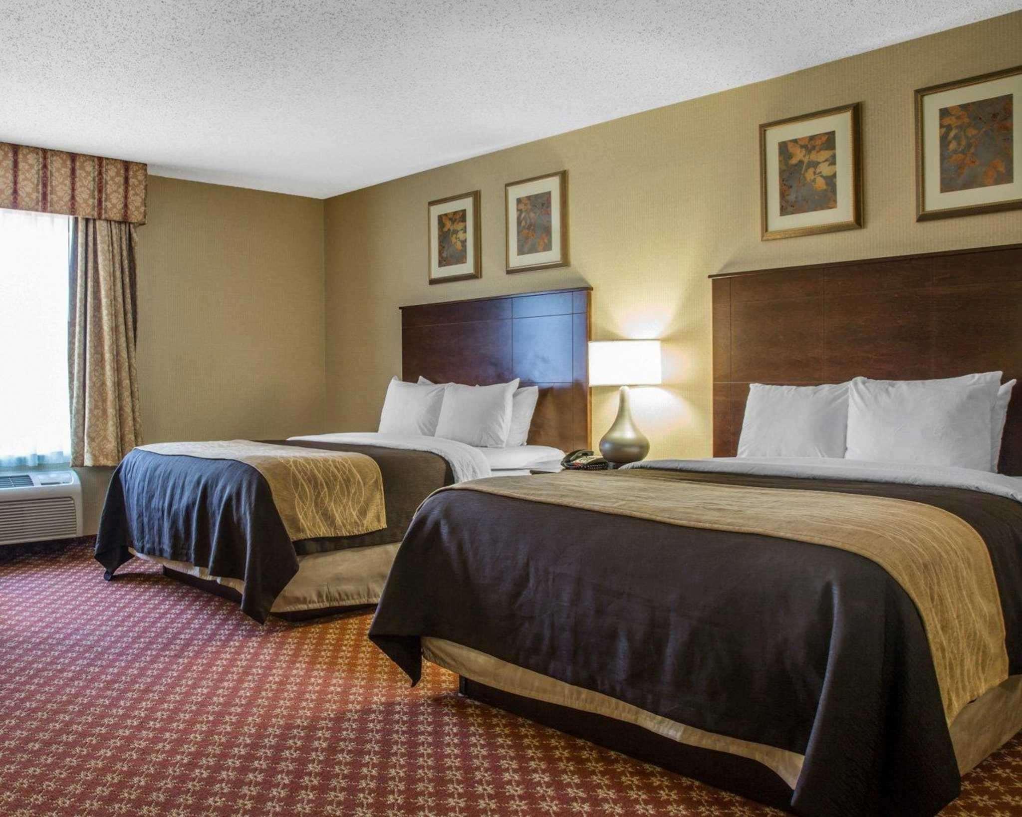 Comfort Inn Naugatuck-Shelton, Ct Exterior foto