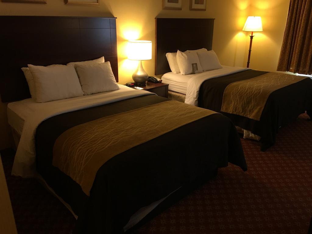 Comfort Inn Naugatuck-Shelton, Ct Exterior foto