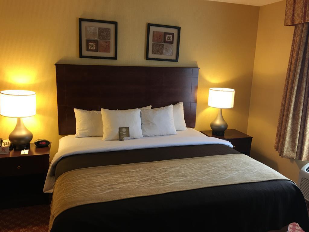 Comfort Inn Naugatuck-Shelton, Ct Exterior foto